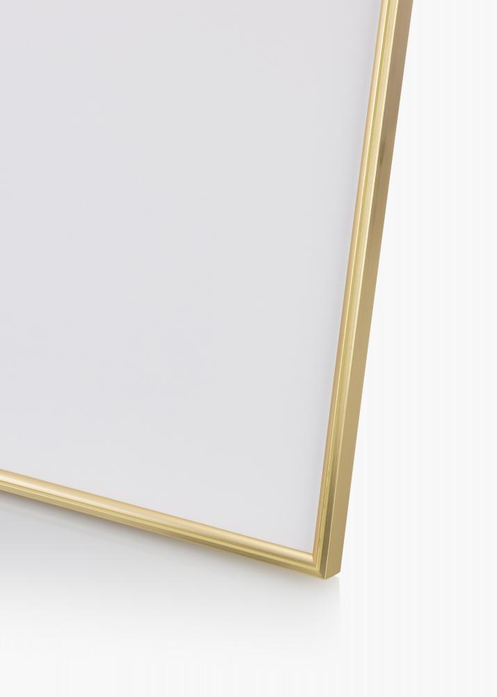 Walther Frame Hipster Acrylic glass Gold 59.4x84 cm (A1)