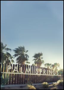 Bildverkstad Palm Springs Poster