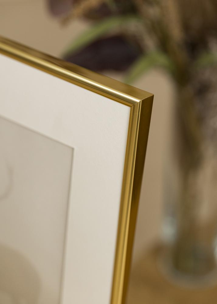 Ram med passepartou Frame Victoria Gold 30x40 cm - Picture Mount White 8x12 inches
