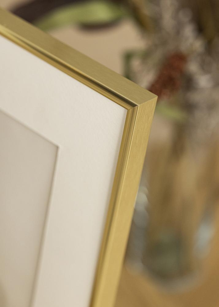 Ram med passepartou Frame Visby Shiny Gold 70x100 cm - Picture Mount White 62x93 cm