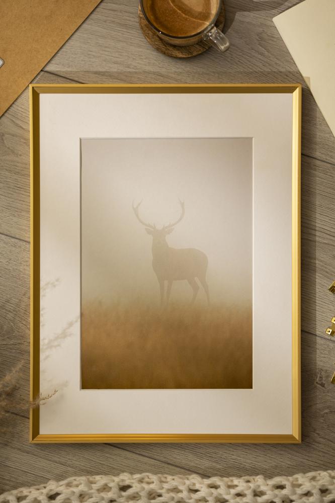 Ram med passepartou Frame Desire Gold 40x50 cm - Picture Mount White 27.5x37 cm