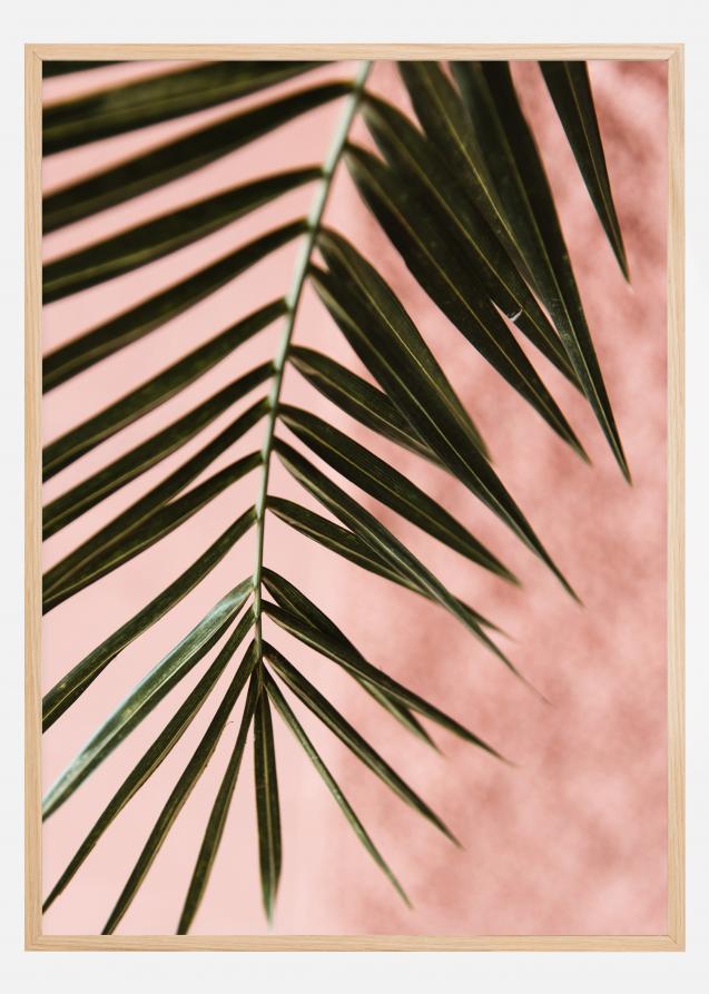Lagervaror egen produktion Pink pastell palm Poster