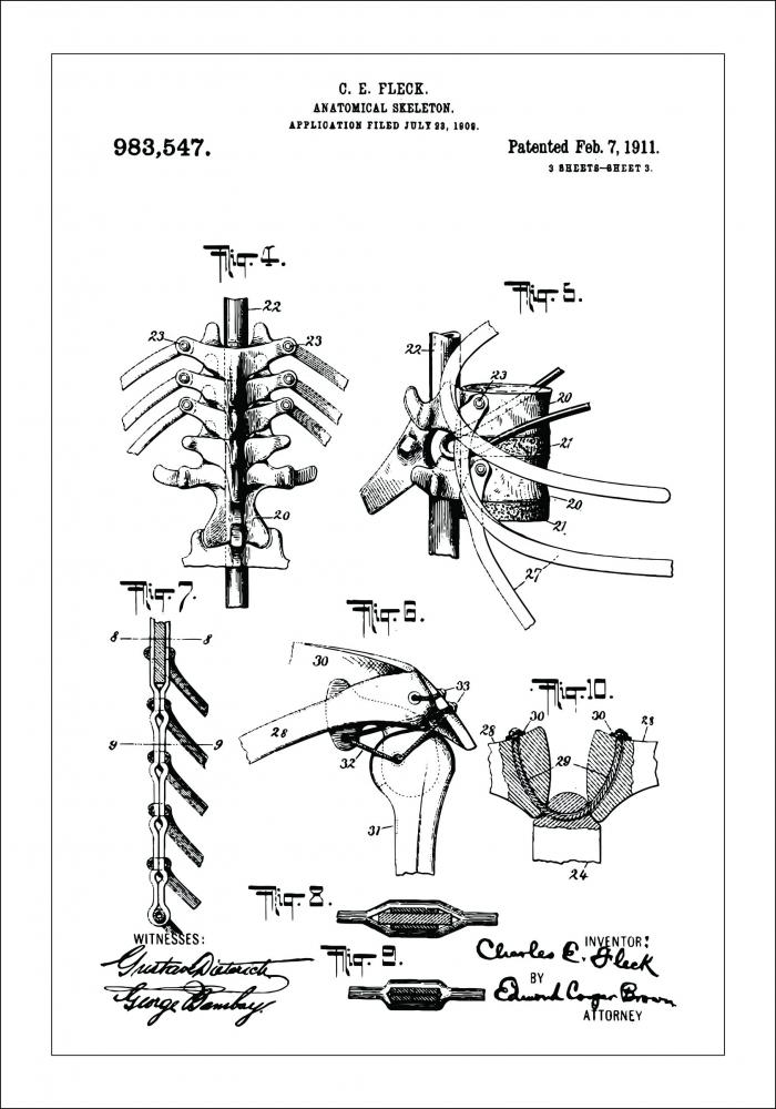 Bildverkstad Patent drawing - Anatomical Skeleton III Poster
