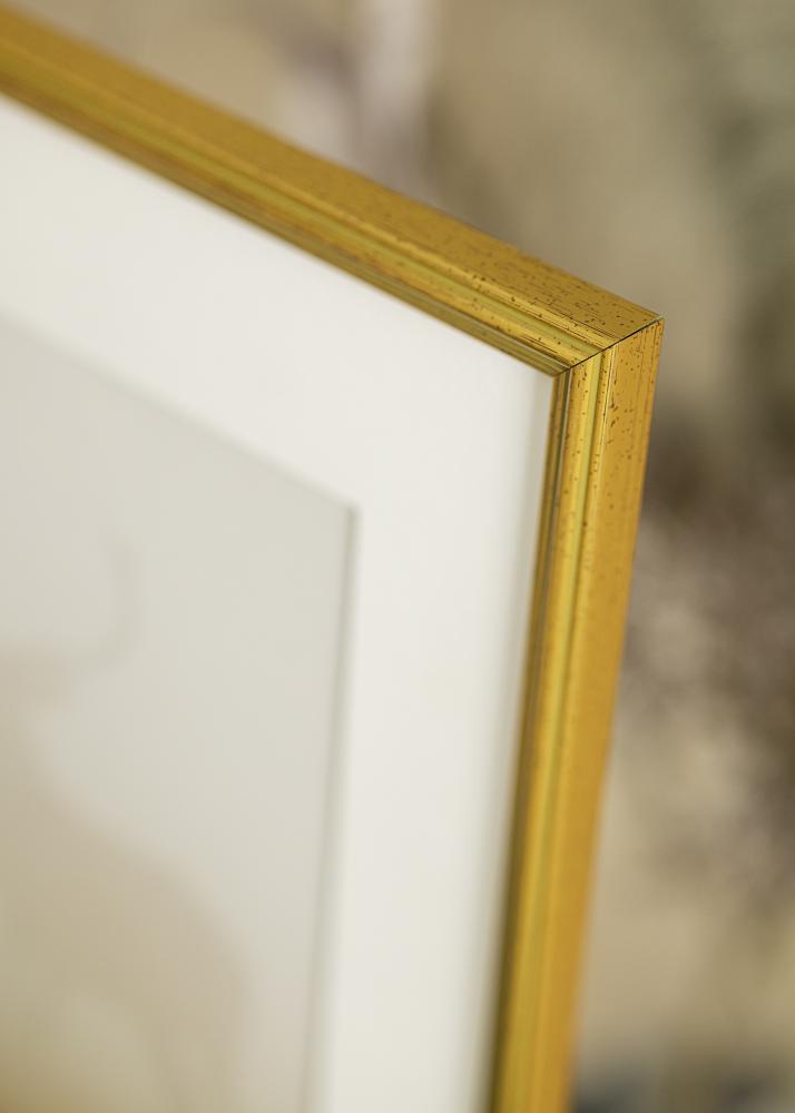 Estancia Frame Classic Gold 30x40 cm