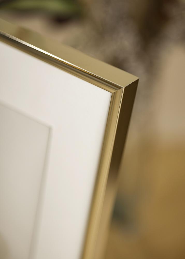 Estancia Frame Aluminium Acrylic glass Glossy Gold 70x100 cm