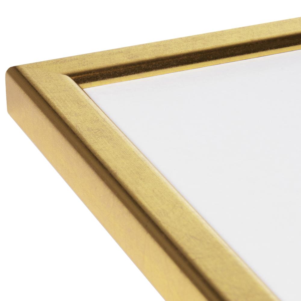 HHC Distribution Frame Slim Matt Anti-reflective glass Gold 13x17 cm