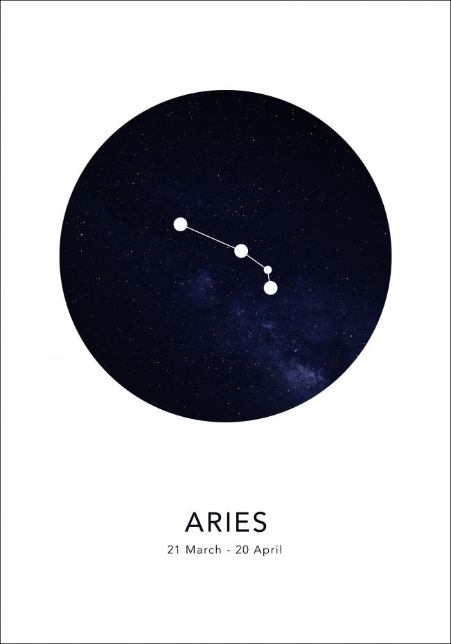 Bildverkstad Aries Poster