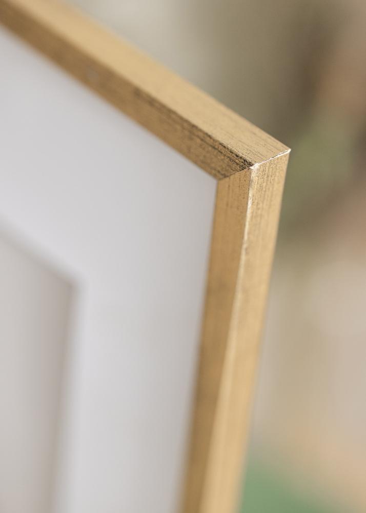 Estancia Frame Gallant Gold 50x70 cm