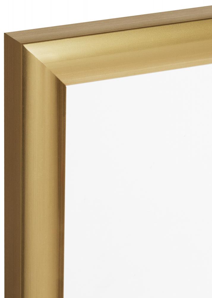 Walther Frame Trendstyle Gold 70x100 cm