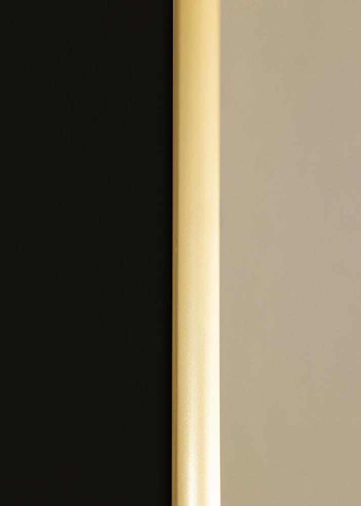 Ram med passepartou Frame New Lifestyle Gold 50x70 cm - Picture Mount Black 33x56 cm