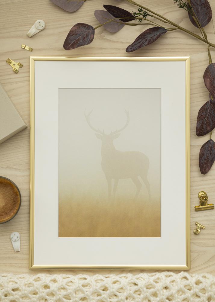 Ram med passepartou Frame New Lifestyle Shiny Gold 50x70 cm - Picture Mount White 40x60 cm