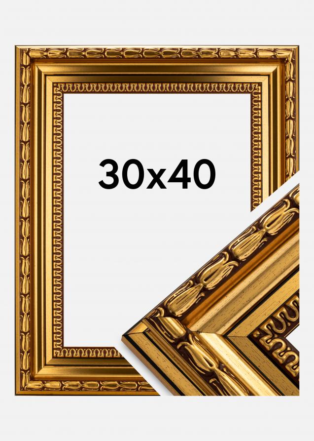 Galleri 1 Frame Birka Premium Gold 30x40 cm