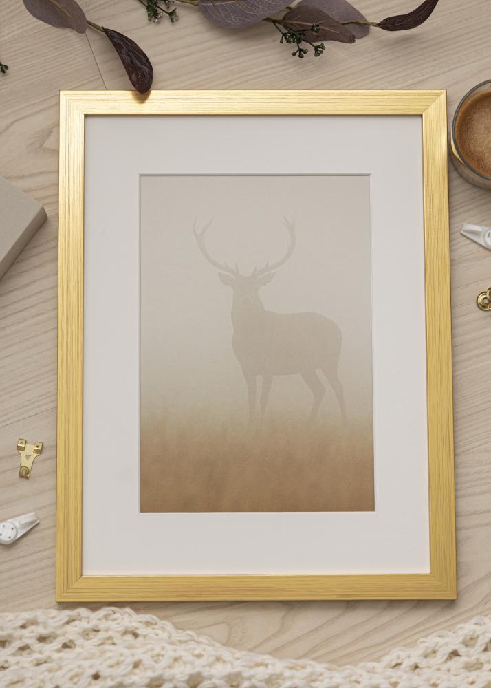 Galleri 1 Frame Gold Wood Acrylic glass 50x75 cm