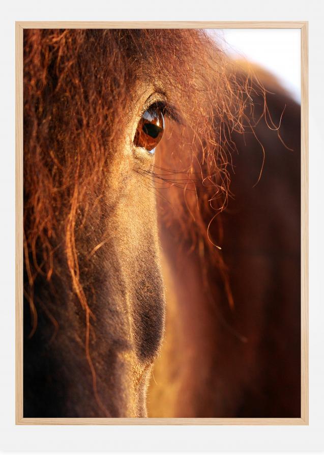 Bildverkstad Horse sunset Poster