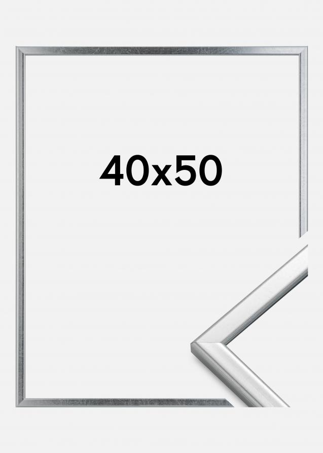 HHC Distribution Frame Slim Matt Anti-reflective glass Silver 40x50 cm