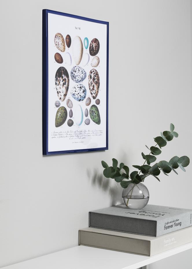 Walther New Lifestyle Collage frame Blue - 3 Pictures (10x15 cm)