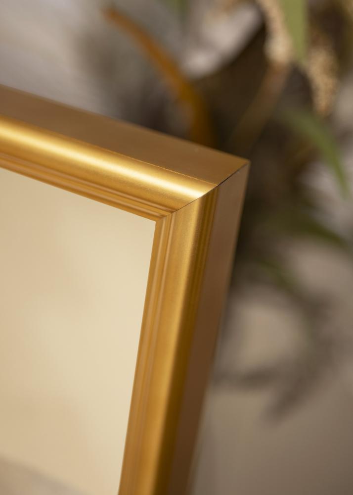 Ramverkstad Mirror Hgbo Gold - Custom Size