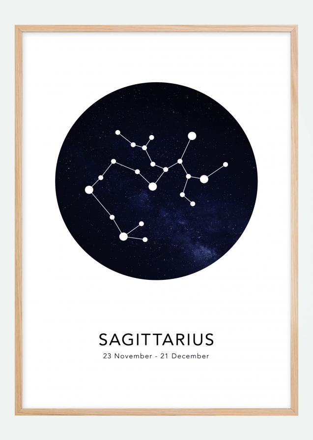 Bildverkstad Sagittarius Poster