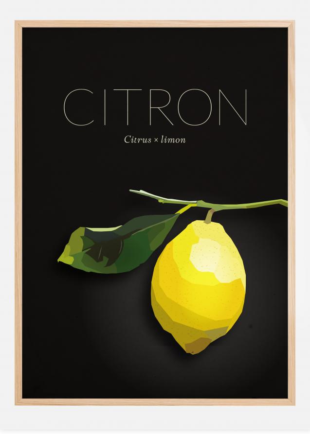 Bildverkstad Lemon Poster