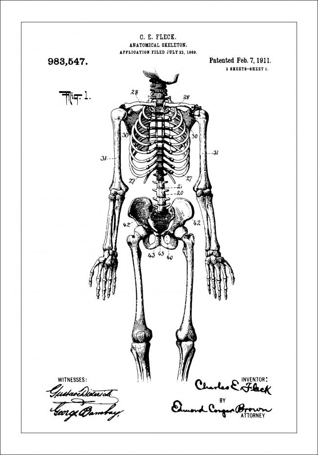 Bildverkstad Patent drawing - Anatomical Skeleton I Poster