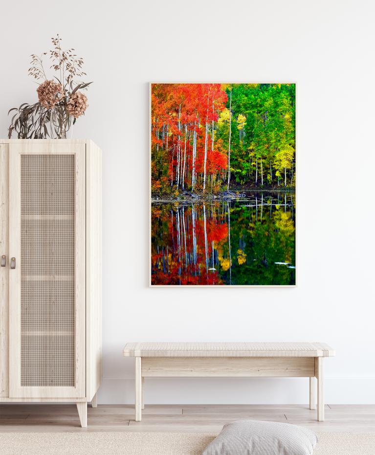 Bildverkstad Colourful Trees By The Lake Poster