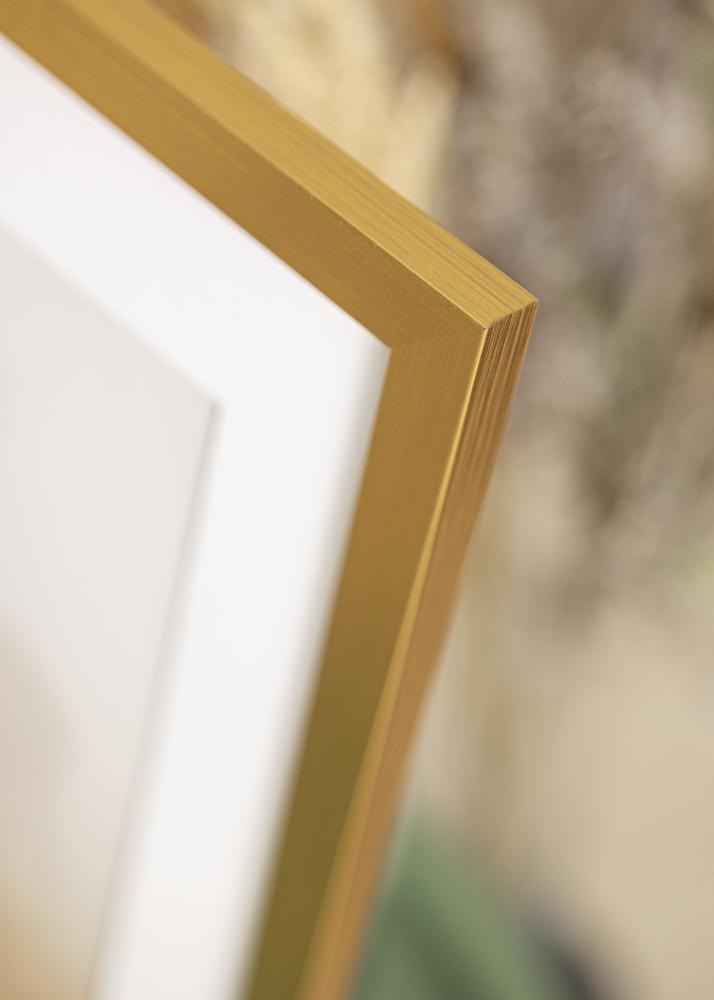 Galleri 1 Frame Gold Wood Acrylic glass 50x50 cm