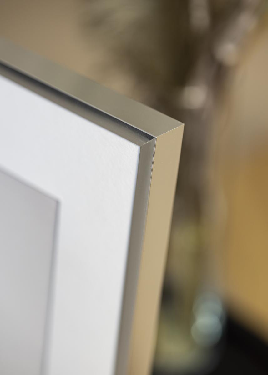 Buy Frame Poster Aluminum Acrylic glass Silver 60x80 cm here BGASTORE.IE