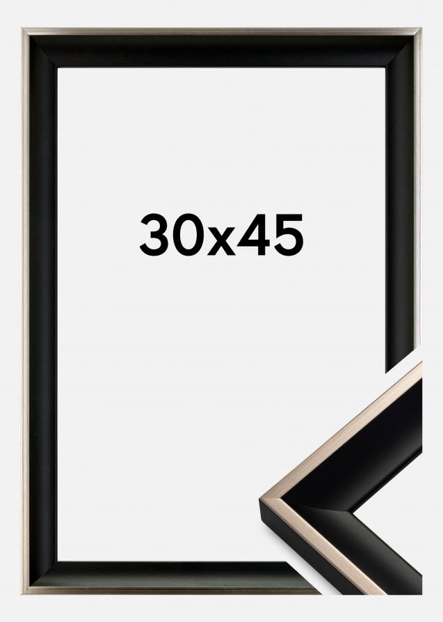 Galleri 1 Frame Öjaren Black-Silver 30x45 cm