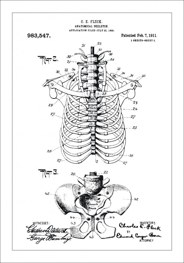 Bildverkstad Patent drawing - Anatomical Skeleton II Poster