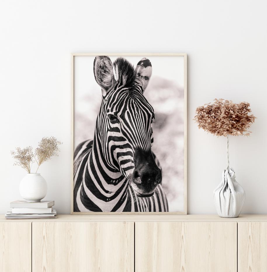 Bildverkstad Zebra Poster