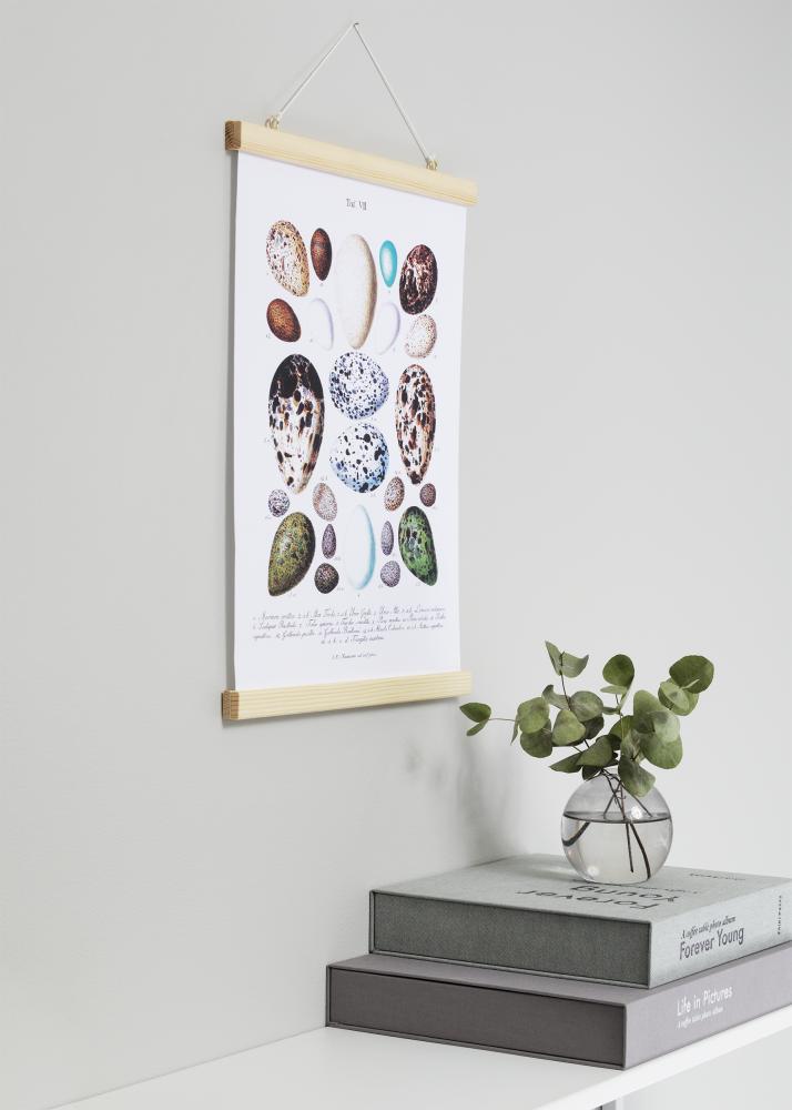 Artlink Poster hangers Nature - 40 cm