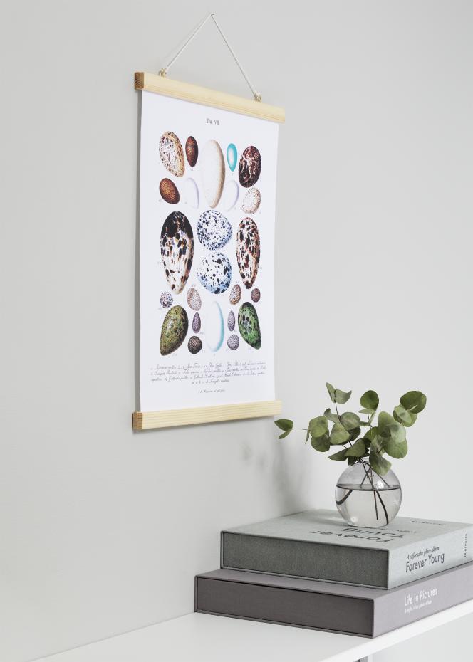 Artlink Poster hangers Nature - 50 cm