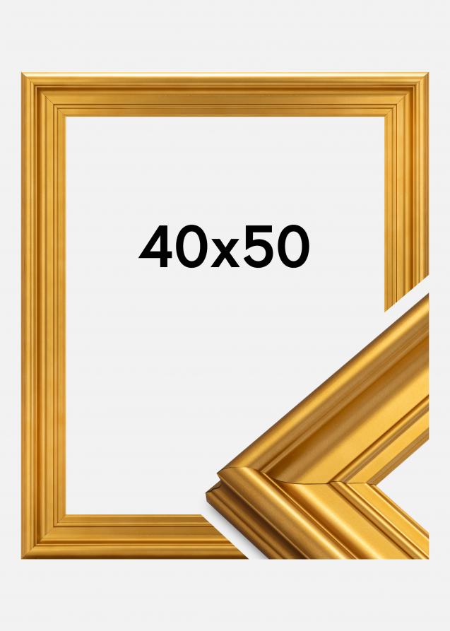 Galleri 1 Frame Mora Premium Acrylic glass Gold 40x50 cm