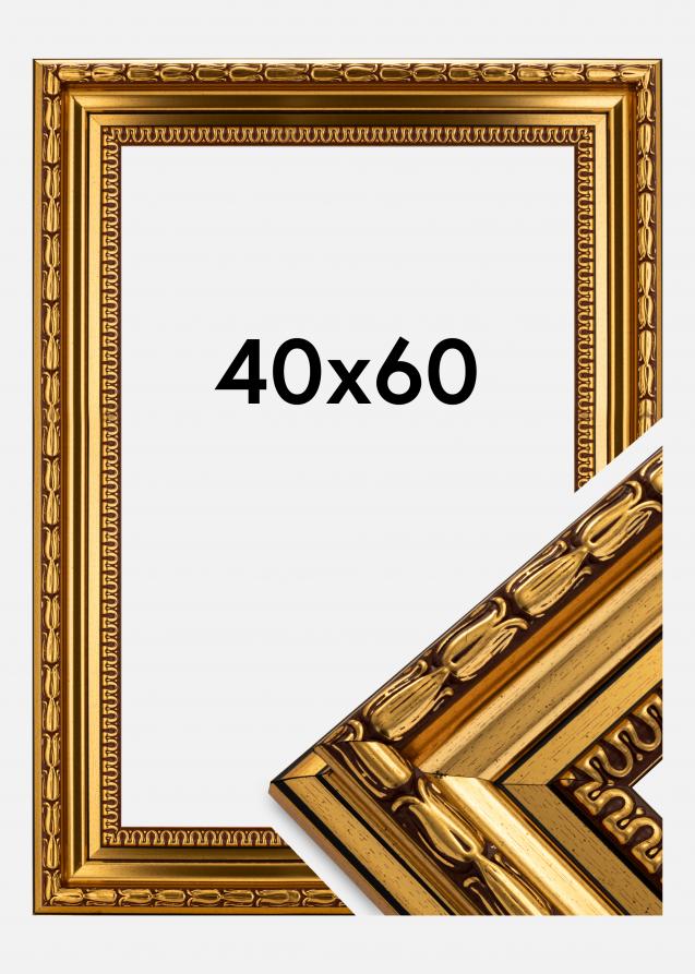 Galleri 1 Frame Birka Premium Gold 40x60 cm