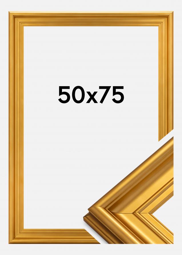Ramverkstad Frame Mora Premium Gold 50x75 cm