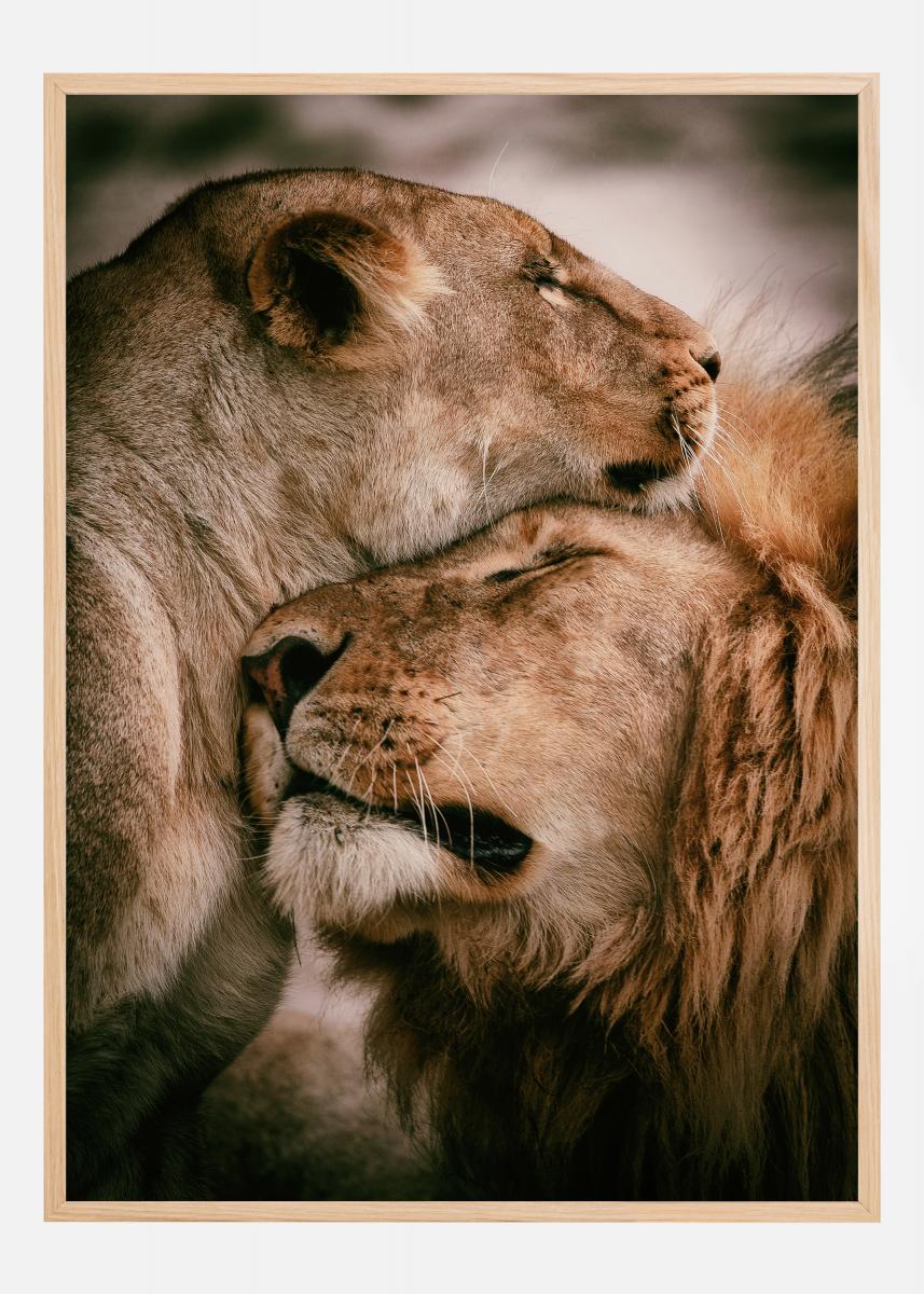 Buy What Is Love Poster here BGASTORE.IE