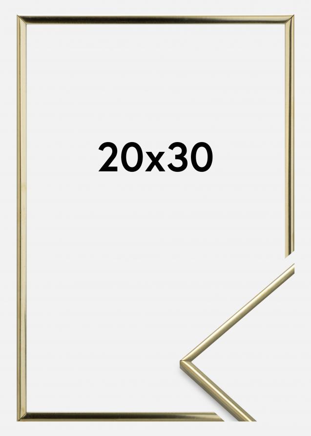 Eiri Kehykset Frame Slät Metall Gold 20x30 cm