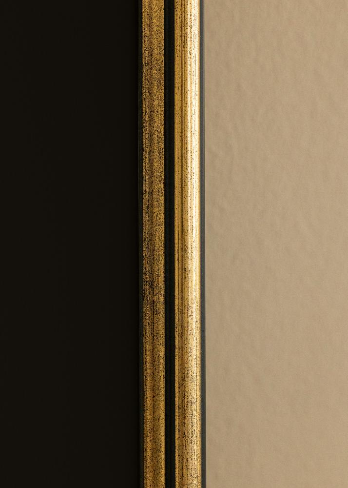Ram med passepartou Frame Horndal Gold 40x50 cm - Picture Mount Black 30x40 cm