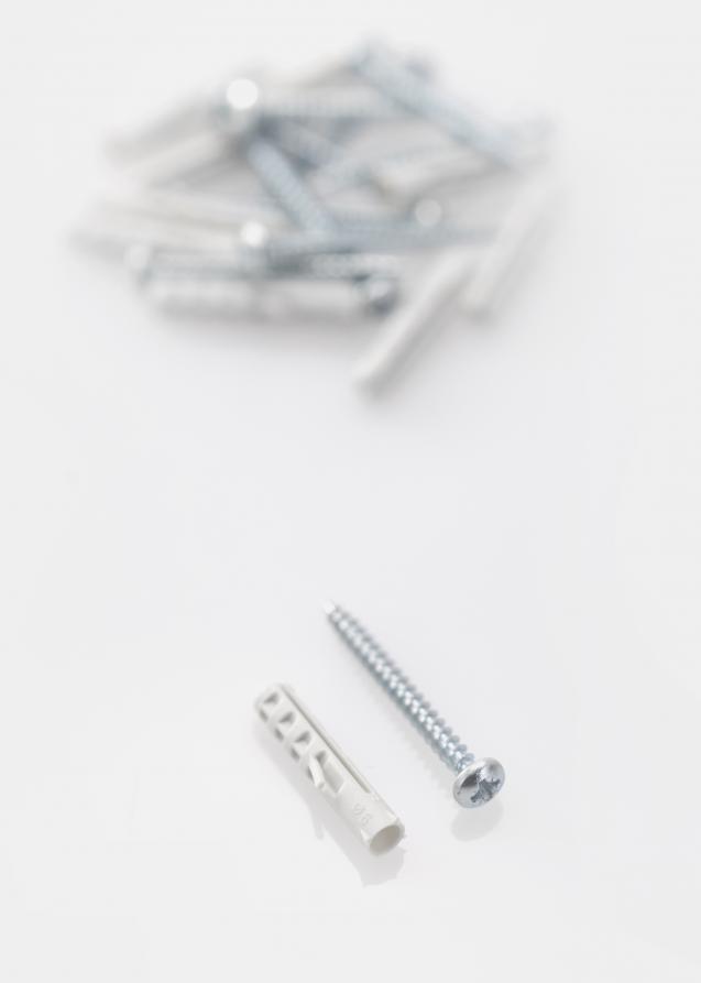 Hallmiba Plug 25 x 5.5 mm with screw 10 pack