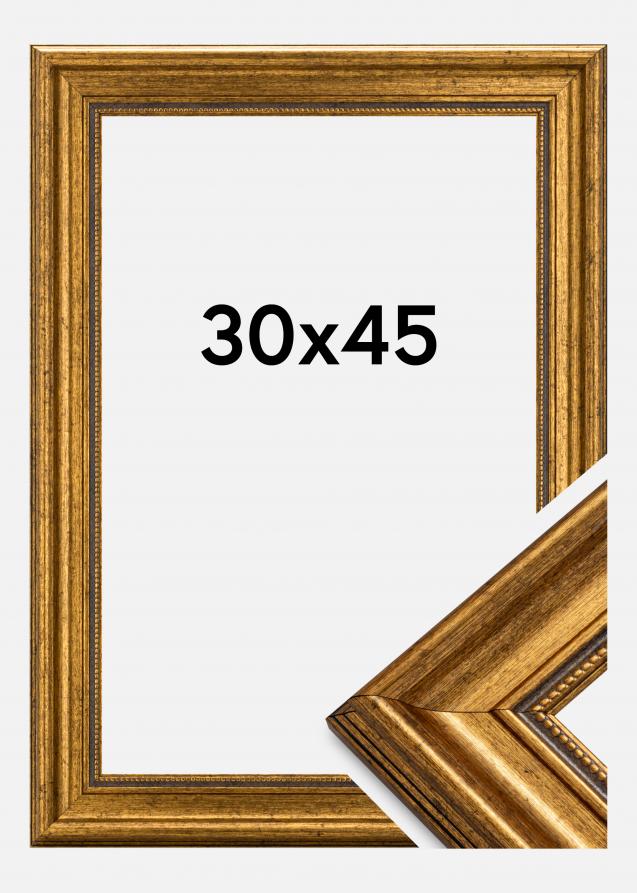 Estancia Frame Rokoko Acrylic glass Gold 30x45 cm
