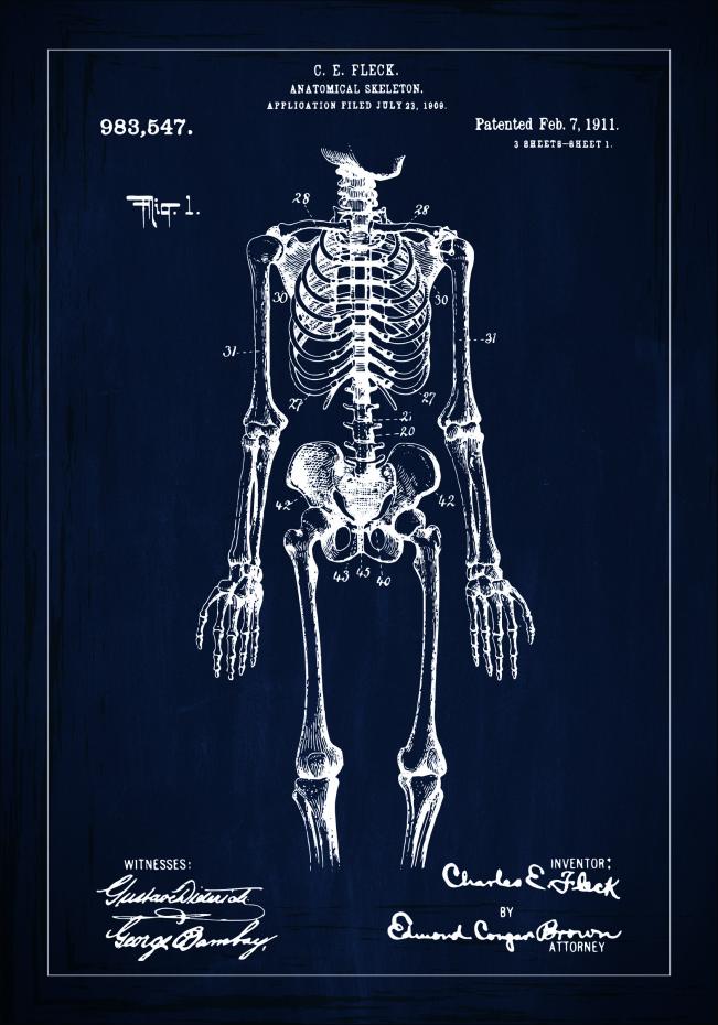 Bildverkstad Patent drawing - Anatomical Skeleton I - Blue Poster
