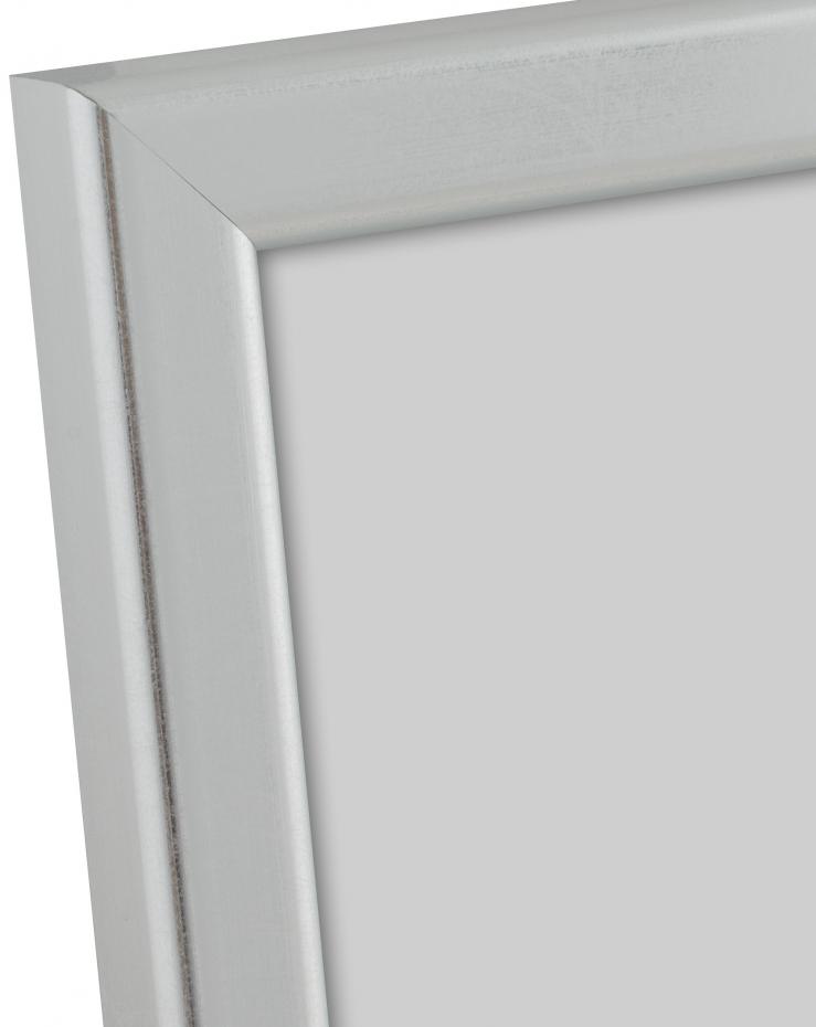 HHC Distribution Frame Slim Matt Anti-reflective glass Silver 30x45 cm