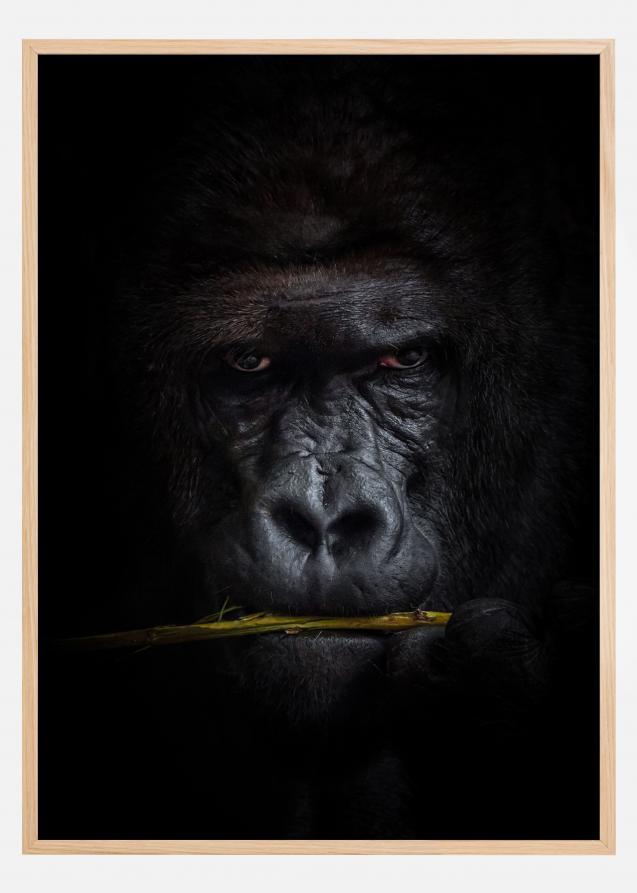Bildverkstad Mysterious gorilla Poster