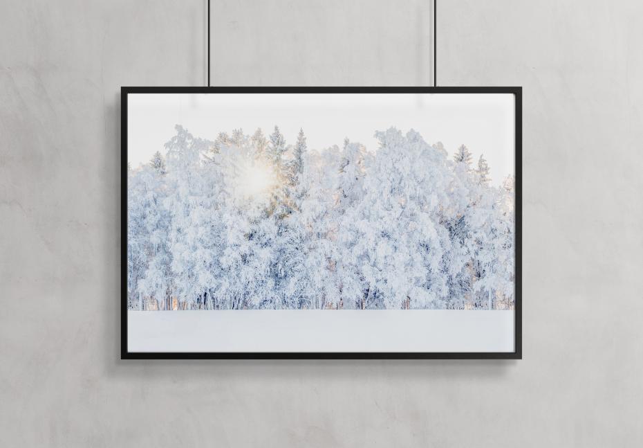 Bildverkstad Winter light Poster