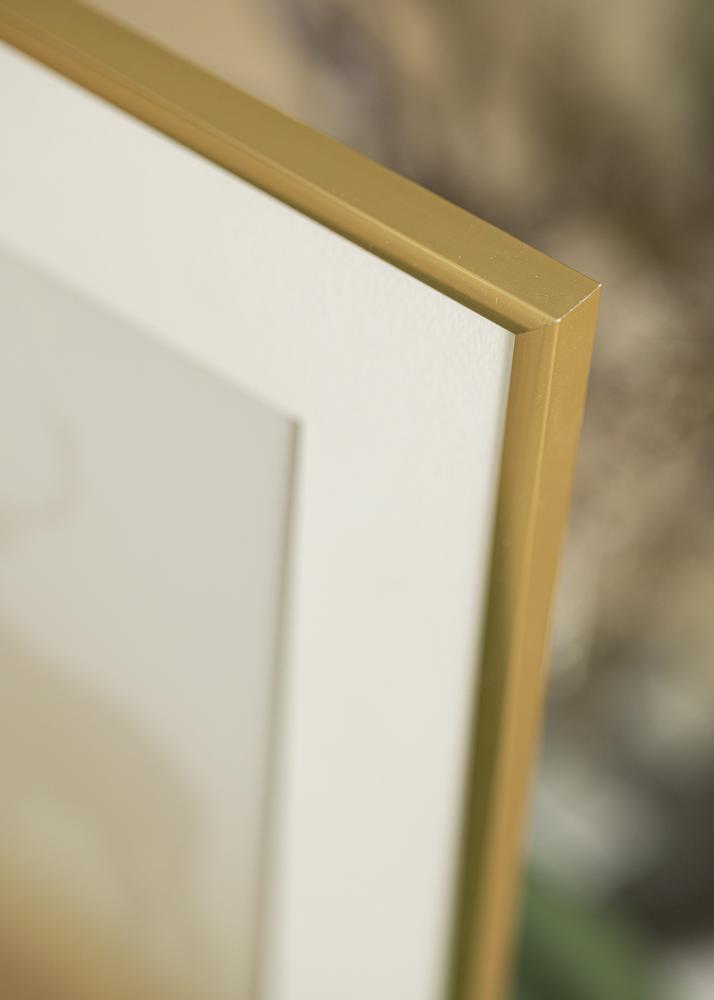Ram med passepartou Frame New Lifestyle Shiny Gold 50x70 cm - Picture Mount White 40x60 cm