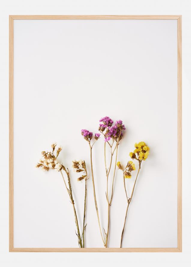 Bildverkstad Dried flowers I Poster