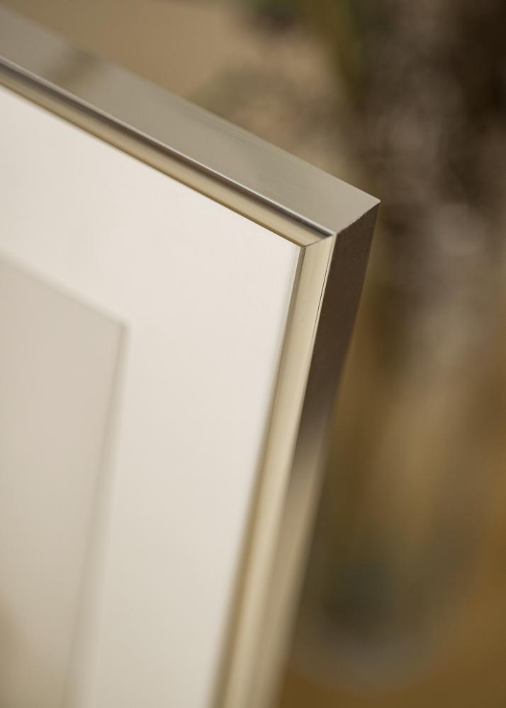 Ram med passepartou Frame Aluminium Shiny Silver 70x100 cm - Picture Mount White 60x90 cm