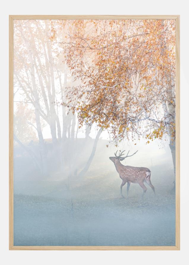 Bildverkstad Elk Lost In Mist Poster
