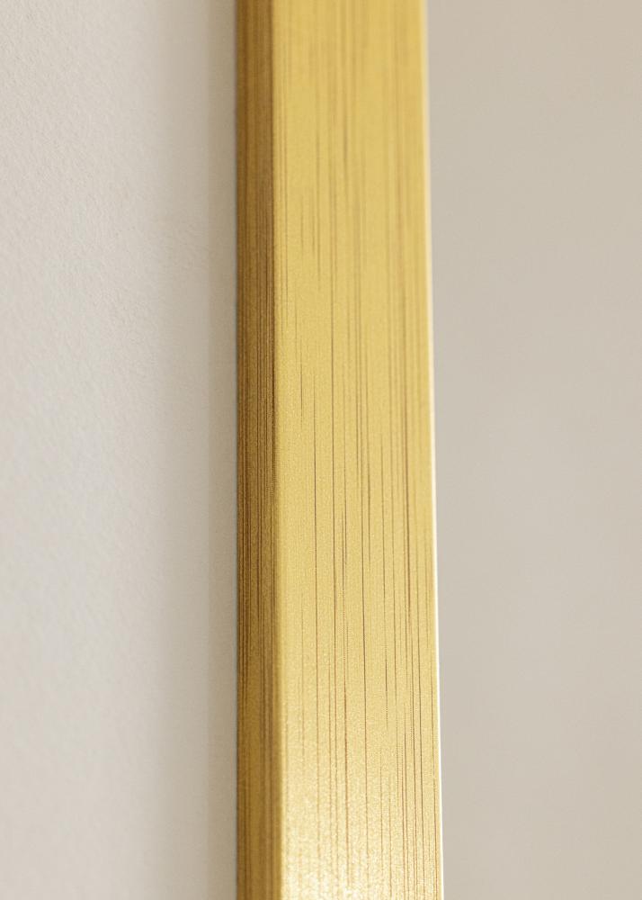 Galleri 1 Frame Gold Wood Acrylic glass 55x70 cm