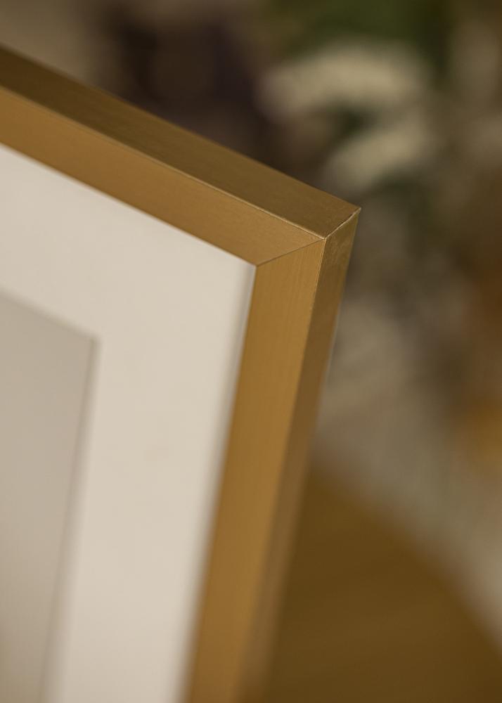 Ram med passepartou Frame Selection Gold 40x50 cm - Picture Mount White 30x40 cm